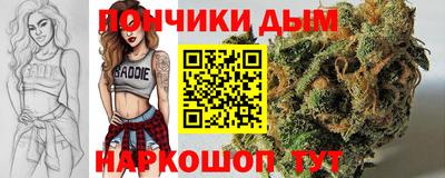индика Тверь