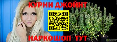 индика Тверь
