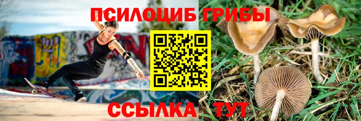 Галлюциногенные грибы Magic Shrooms  Галлюциногенные грибы MAGIC MUSHROOMS  Вход с VPN  Нальчик 
